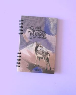 CUADERNO ROAR